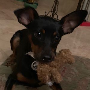 Meet your Posher, Claire